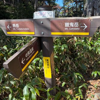 東沢乗越まできた。ここまでも結構な強い藪の下りでしたが、この先さらに辛くなることに…