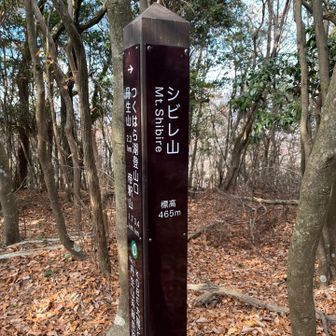 なんでシビレ？