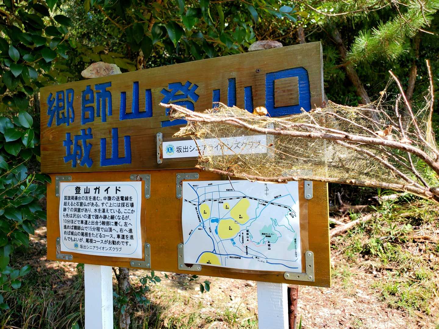 蜘蛛の巣、いっぱい収穫しました🤣
ちょこっとですが無事に…
本日もありがとうございました🤗