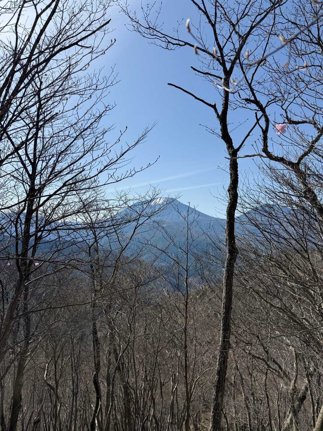 鳴虫山登山口-神ノ主山-鳴虫山-合峰-独標 縦走コースの写真