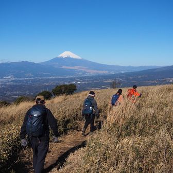 どこからも富士山