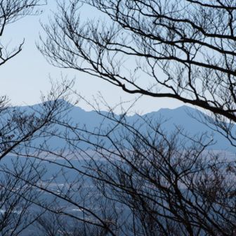 木の隙間から昨日登った愛鷹山