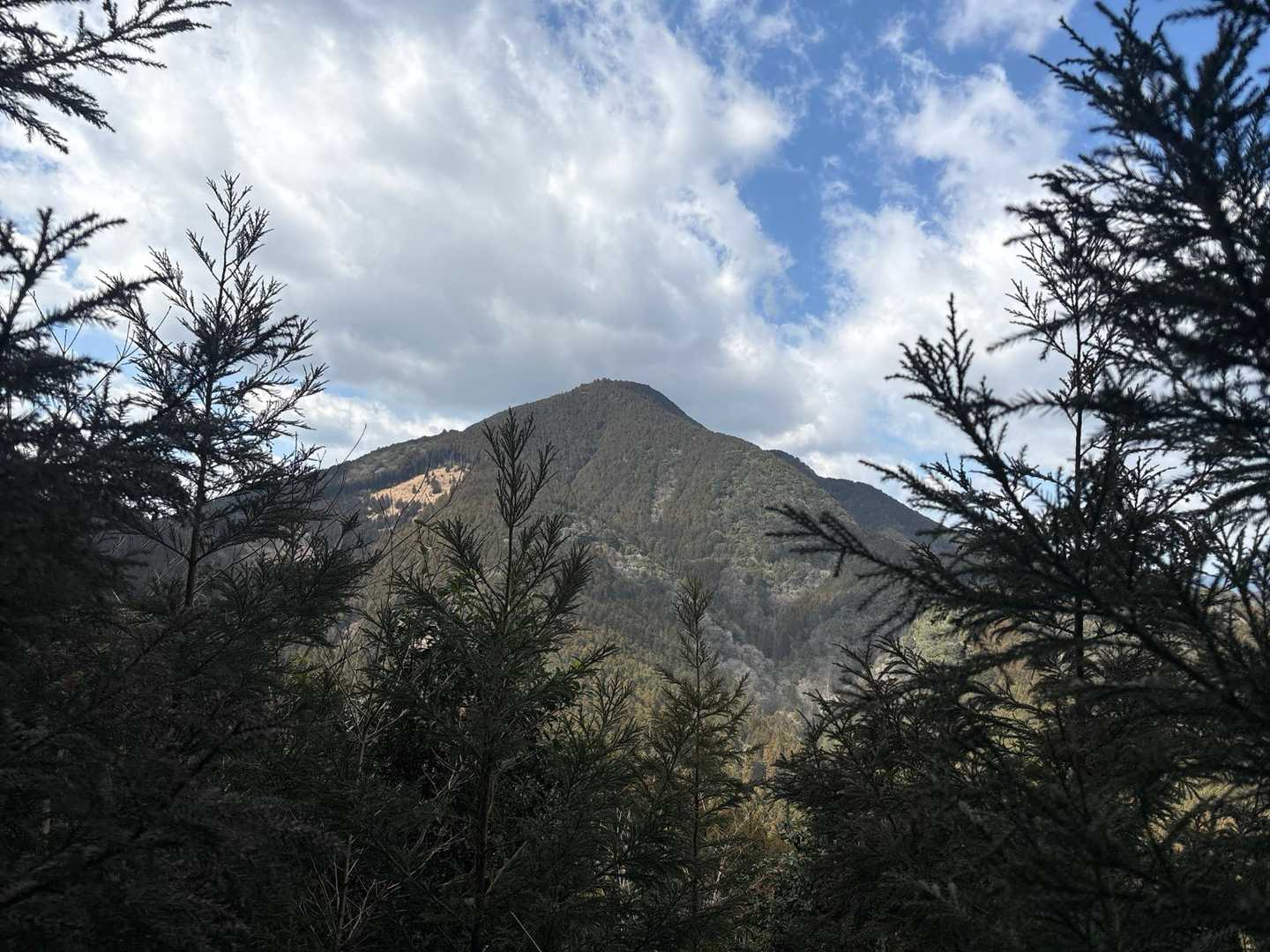八高山が見えてきた