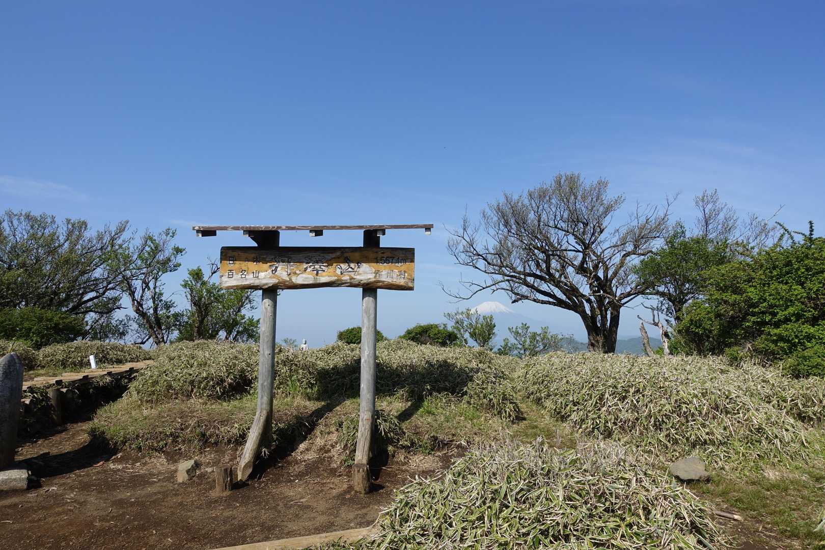 西丹沢バス停-檜洞丸-蛭ヶ岳-丹沢山-塔ノ岳-大倉バス停 縦走コースの写真