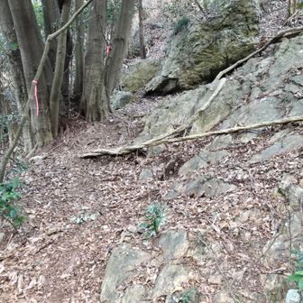 いきなりちょっと迷う。落石防止ネットの方へ上を通る感じ