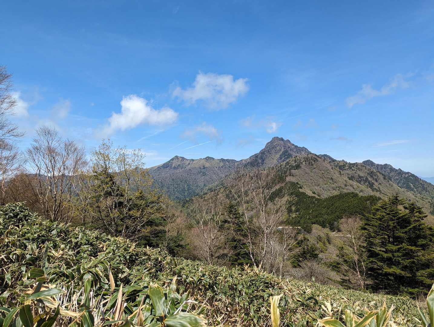 石鎚山を見ながら登る