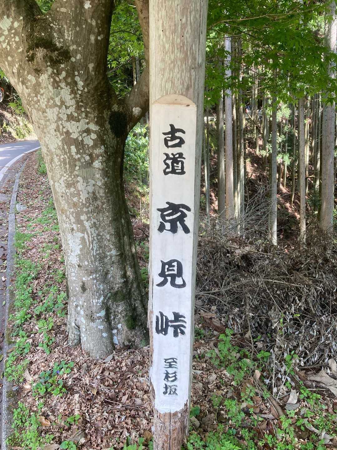 鷹峯源光庵前バス停-釈迦谷山-京見峠-上ノ水峠-仏栗峠-福 縦走コースの写真