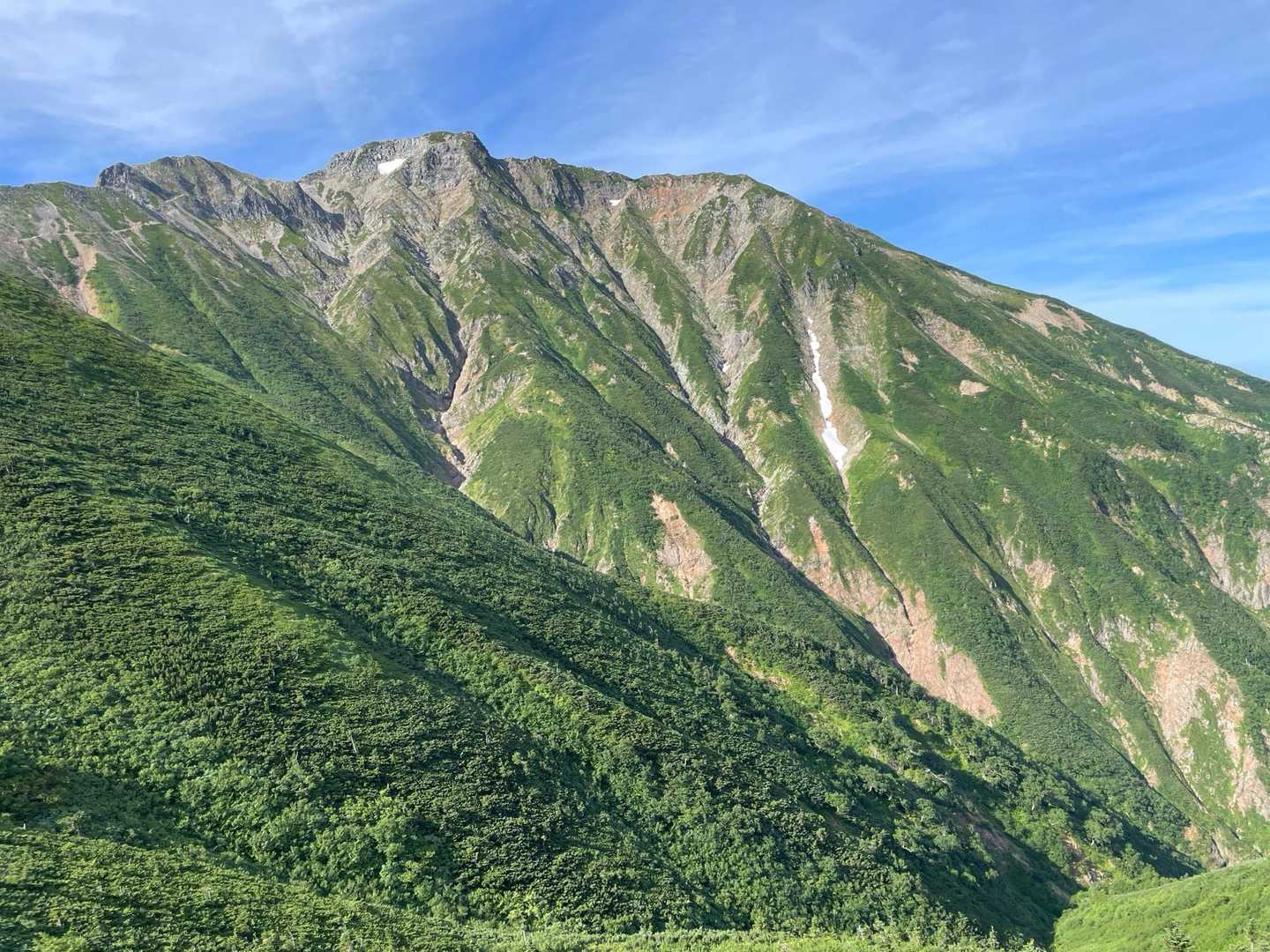 振り返ると