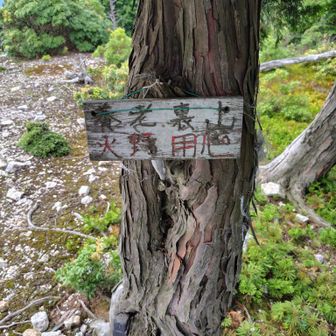 裏山山頂