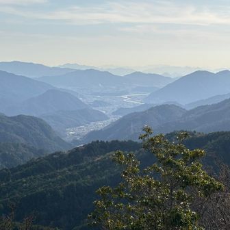 太田川と広島市の市街地、瀬戸内海方面