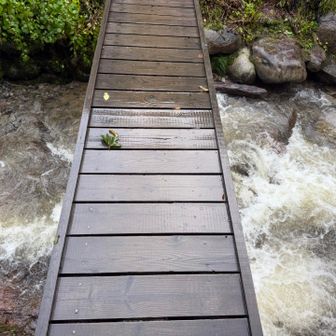 雨で滑りそうだから慎重に、、、