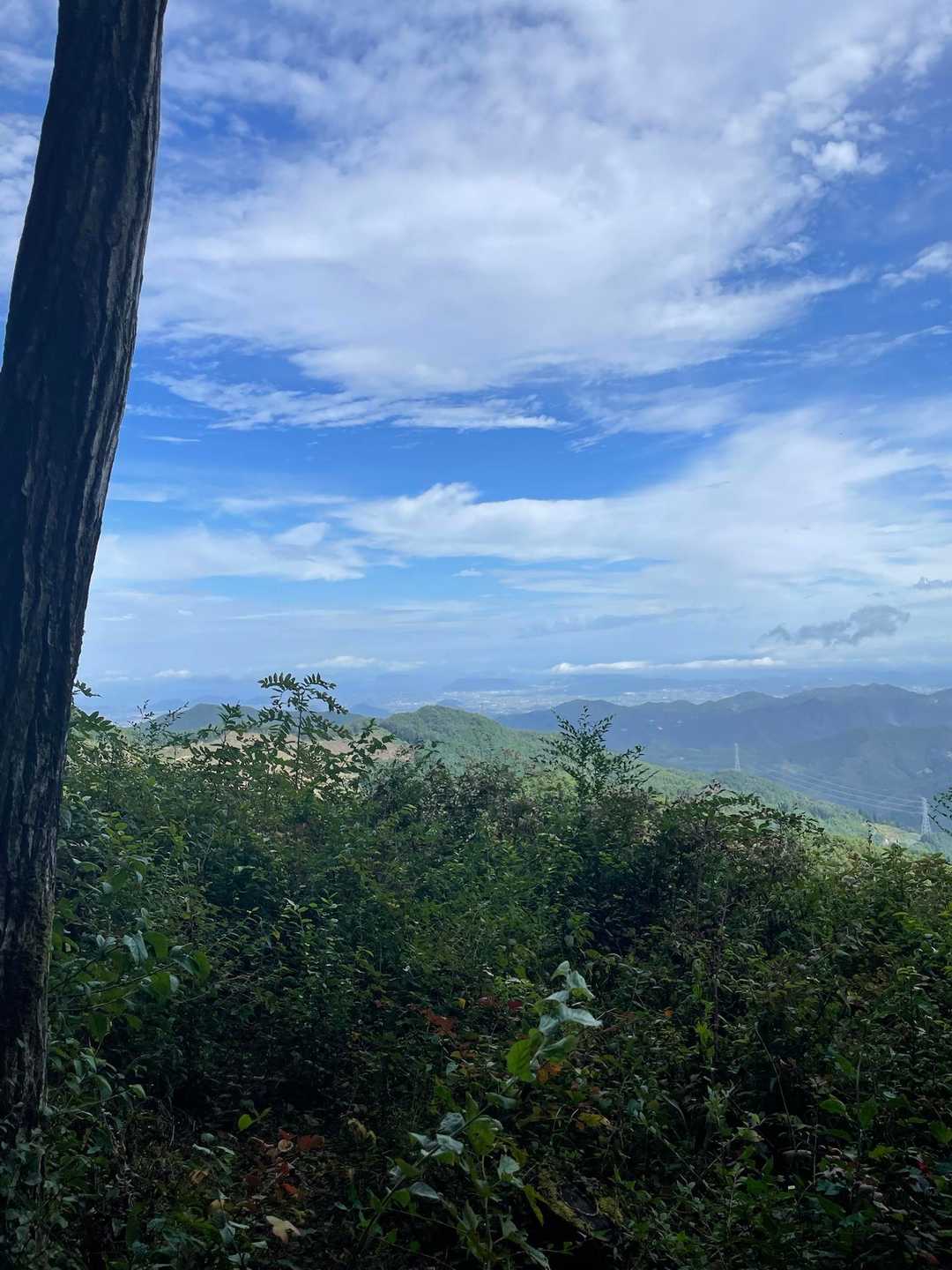 竜王山-竜王山 往復コースの写真
