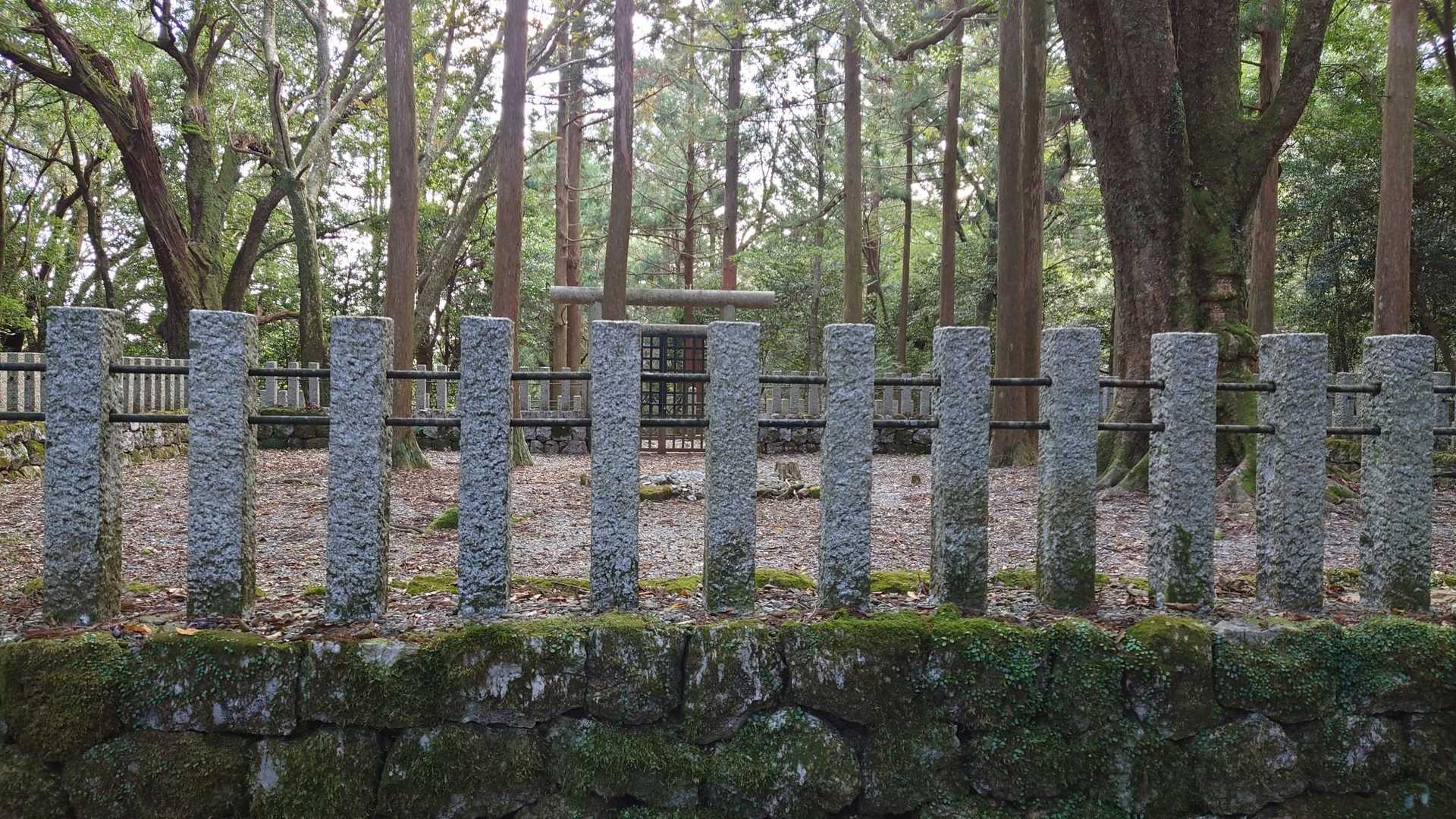 うらからたよお🤠