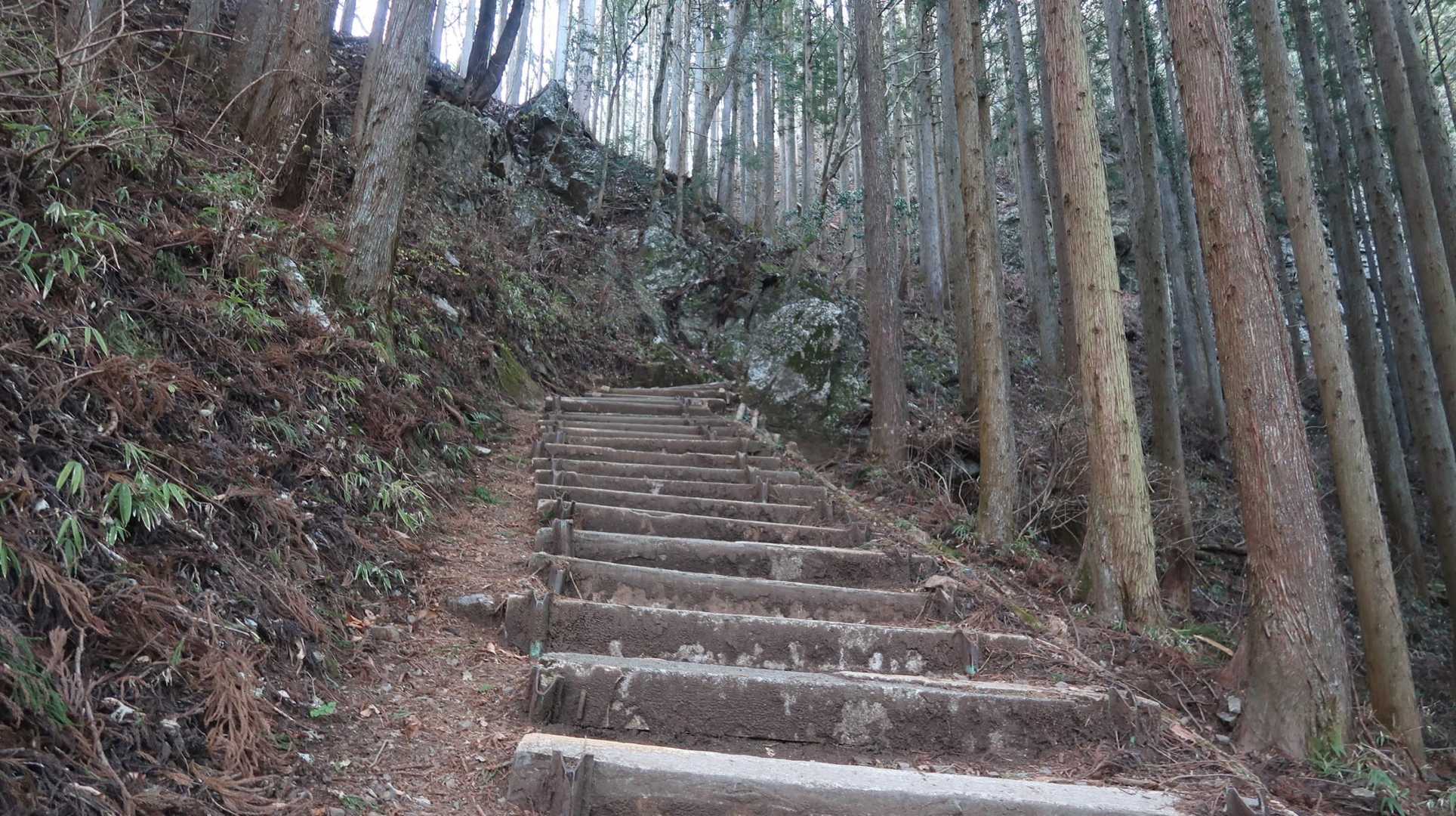 古里駅-中ノ棒山-大塚山-日の出山-梅野木峠-金比羅神社- 縦走コースの写真