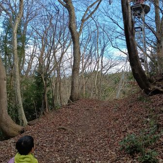 大きなタワーも発見。ダム湖の監視用かな。