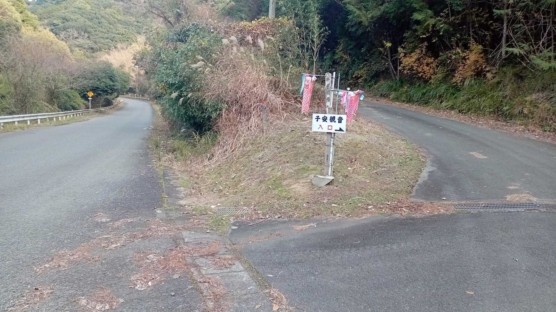 県道に出てきた