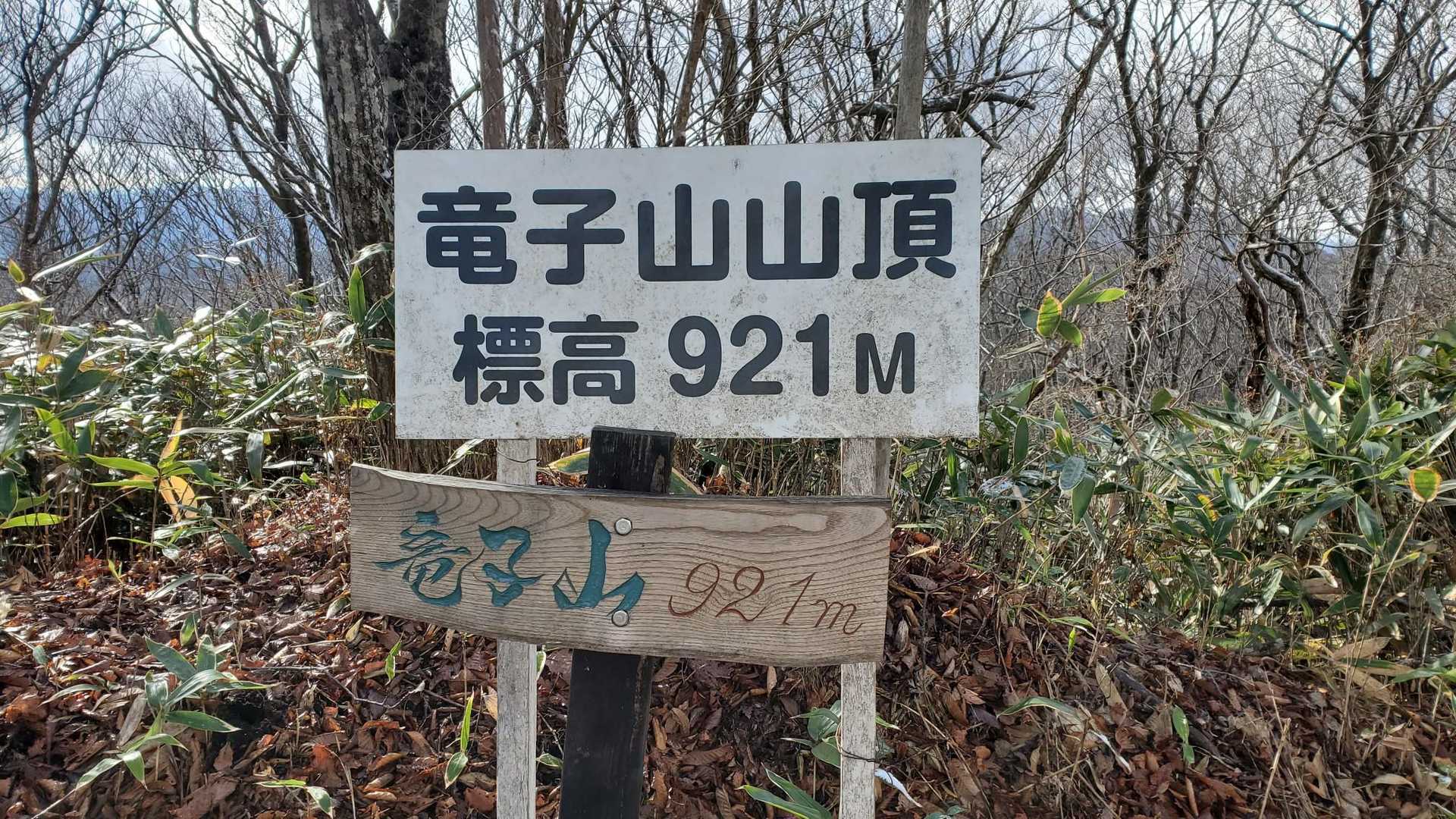 うつくしま百名山、竜子山