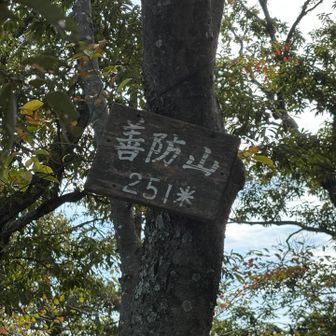 上の方にも山頂標識がありました