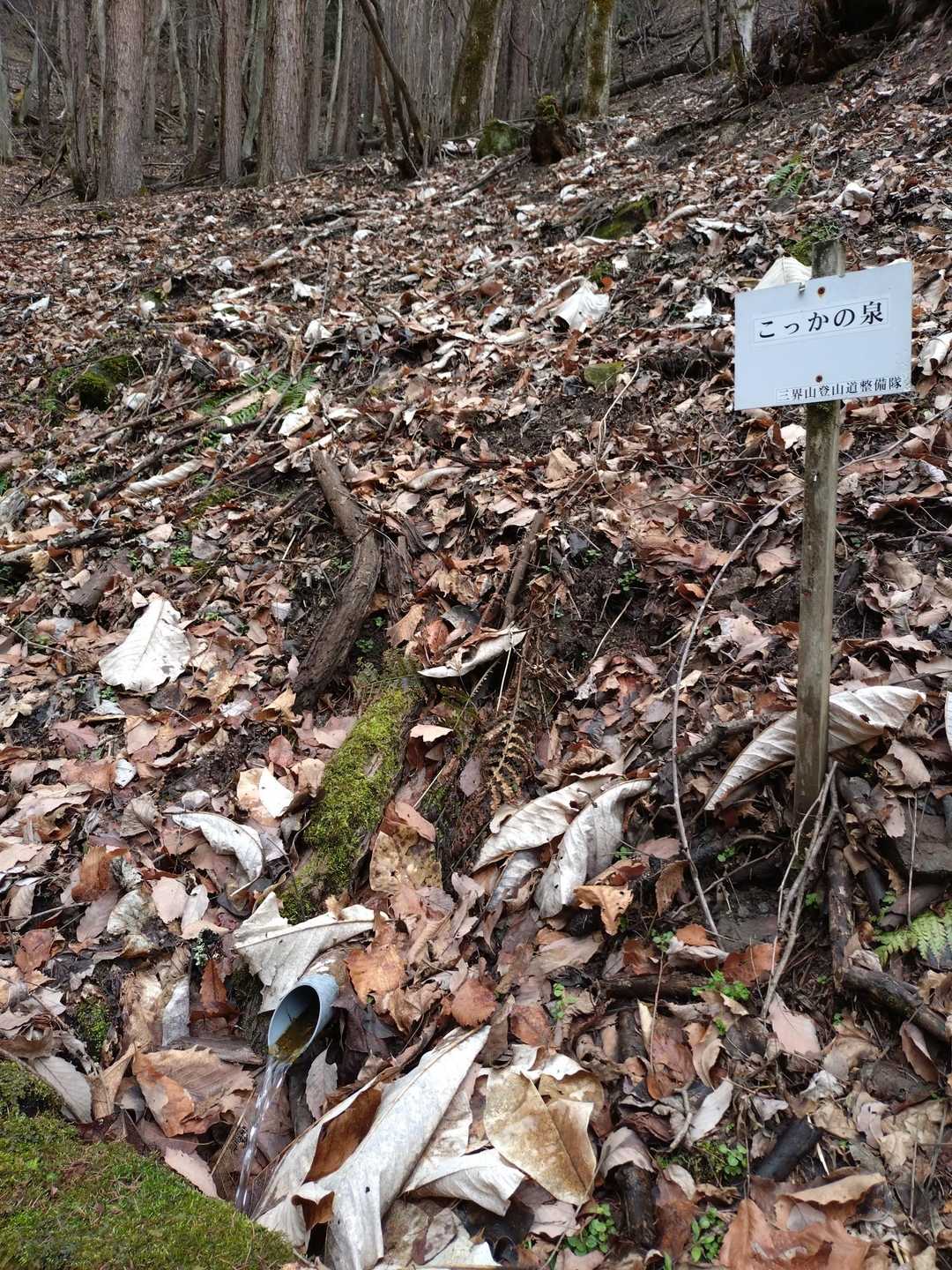 新山登山口-三界山-山の神 往復コースの写真