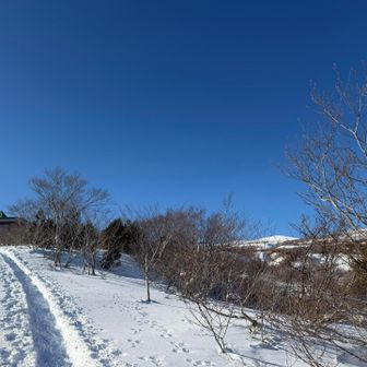 さっきまであそこで絶景を楽しんでいたんだよ…🥹