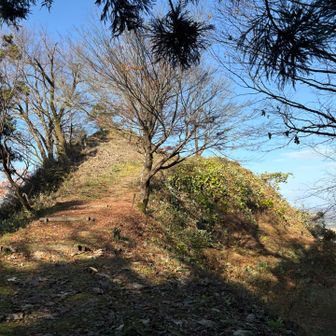 反対側を上って行くと