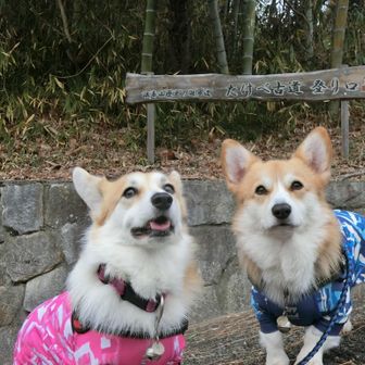 無事に下山(*^。^*)