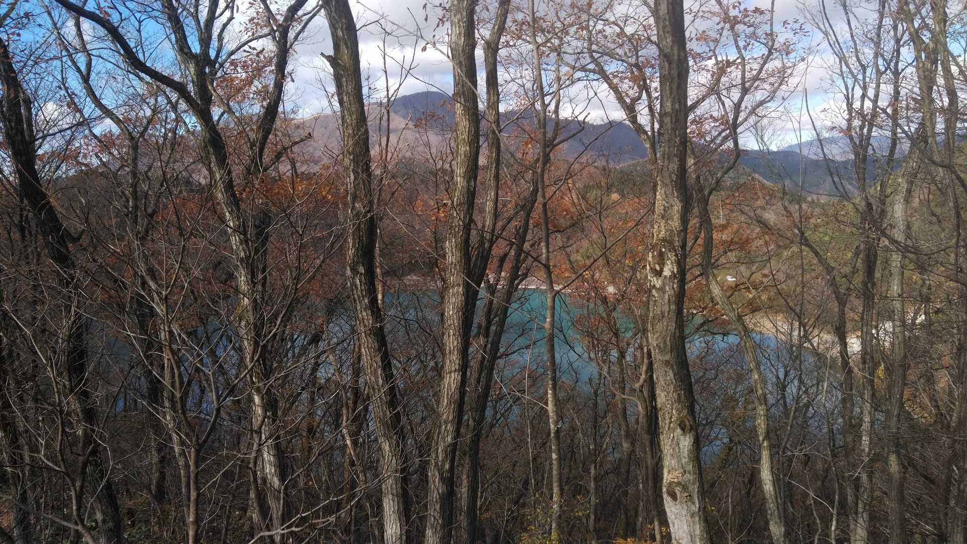 胡桃ヶ岳 周回コースの写真