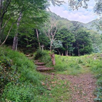 ここから、登山口
1hr以上の急登が始まります