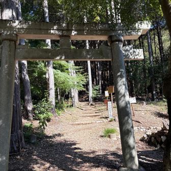 ここから登ります