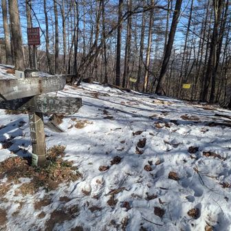 ブナ坂到着。将門看板のエピローグがありました。ちょっと悲しい結末