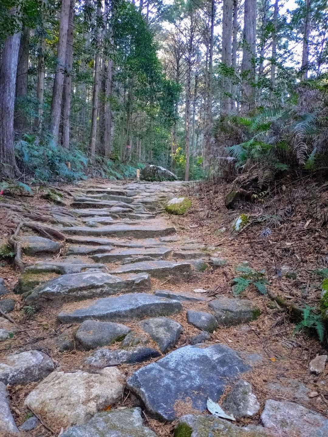 きれいな石畳✨