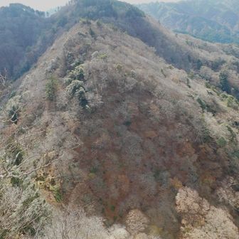 歩いてきた尾根ᨒ𖡼.𖤣𖥧＊
さっき見上げていた岩壁の先端に居るよ⸜🐰⸝‍  