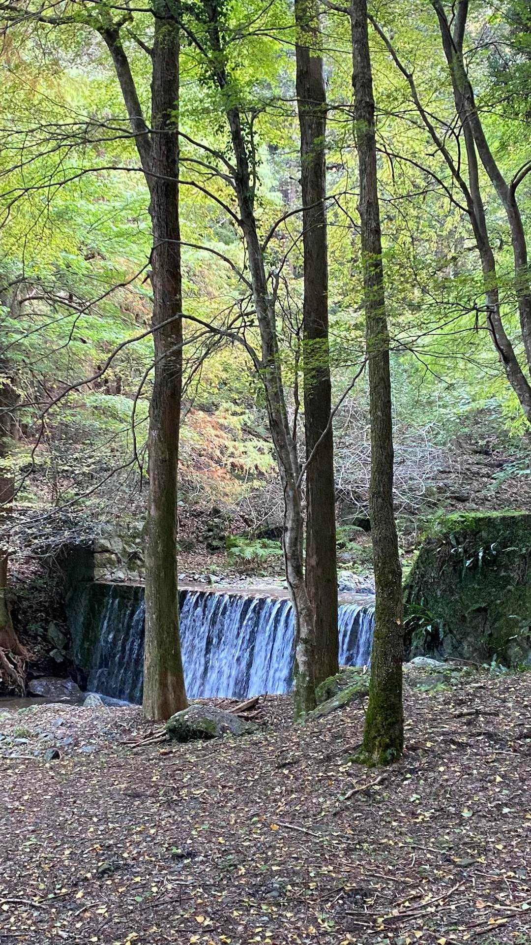 登山はずーっと沢沿い
