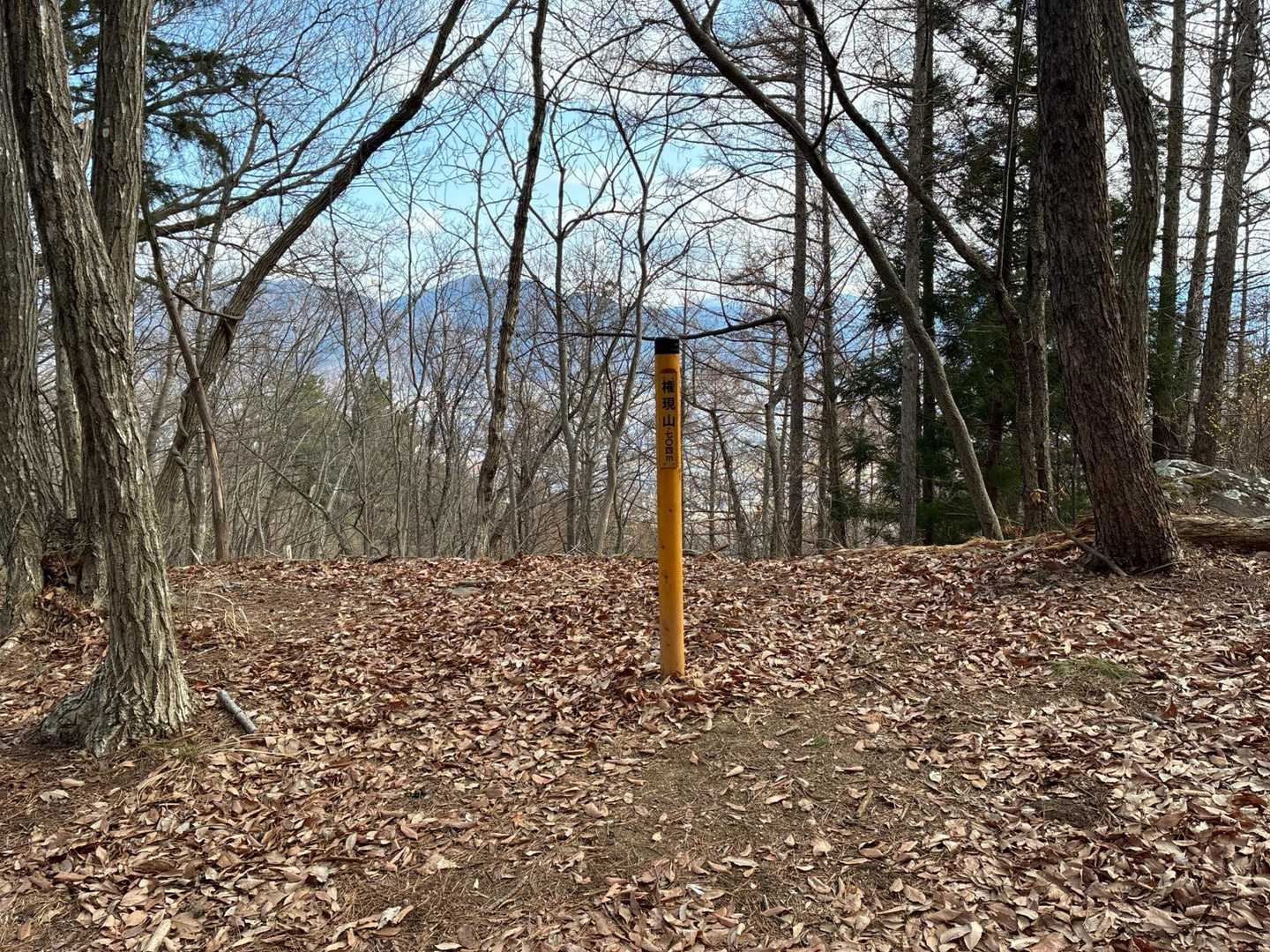 権現山ナウ！

どうやらこの山頂も古墳😳