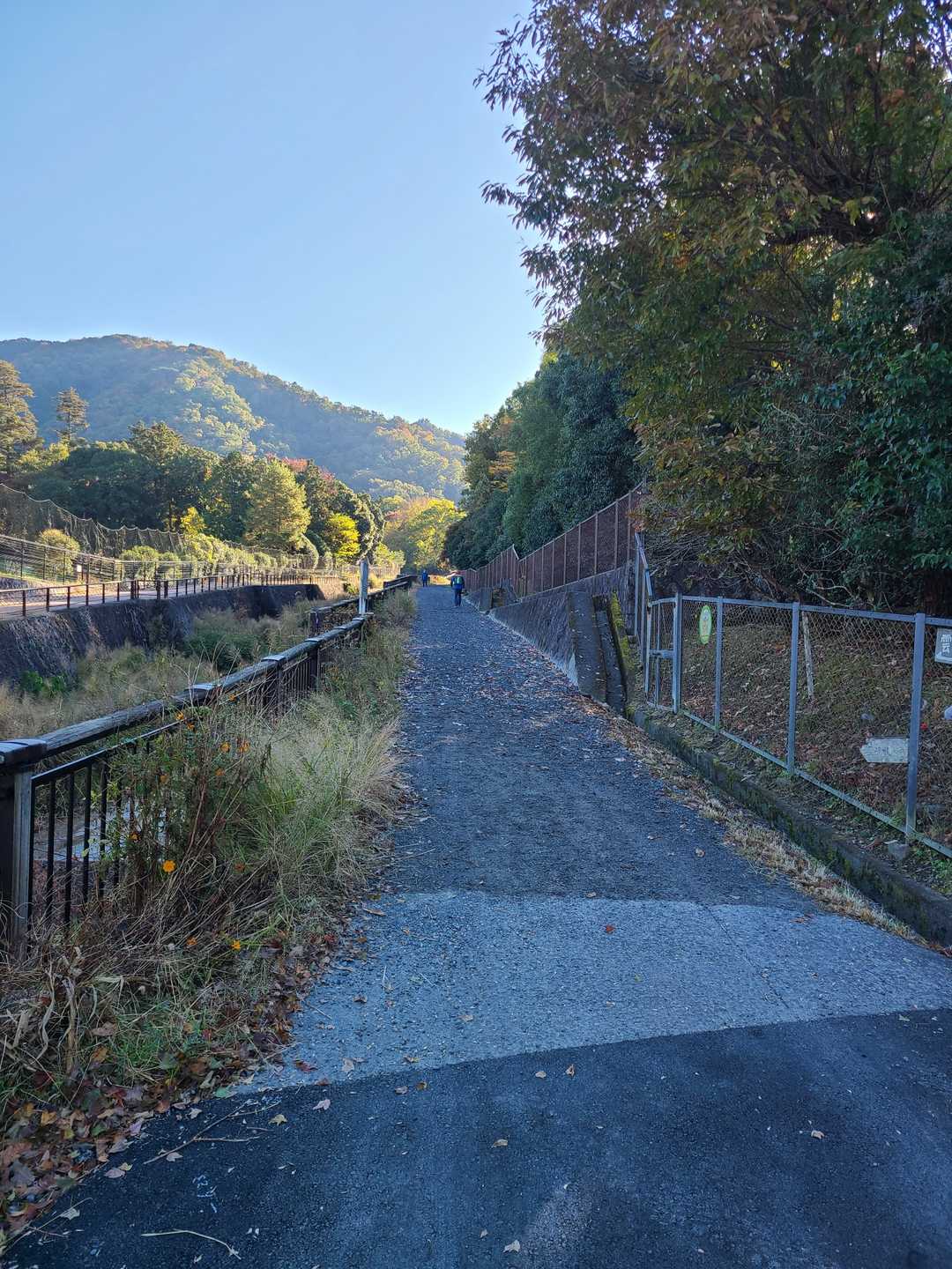 駅から登山口までの道