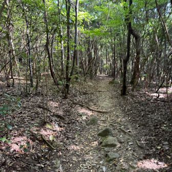 日陰が嬉しい