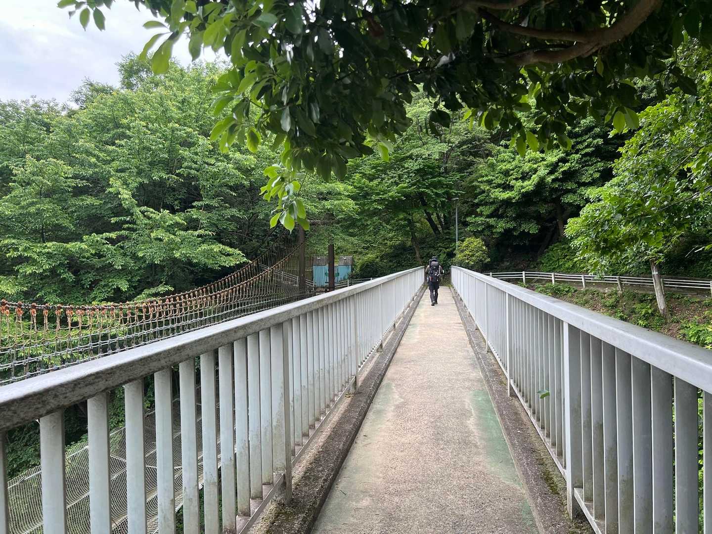 高峠山-宗箇山 周回コースの写真