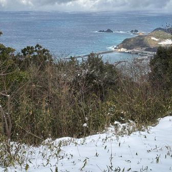 日本海は荒れてました