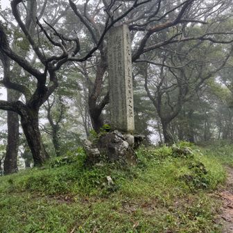 山頂