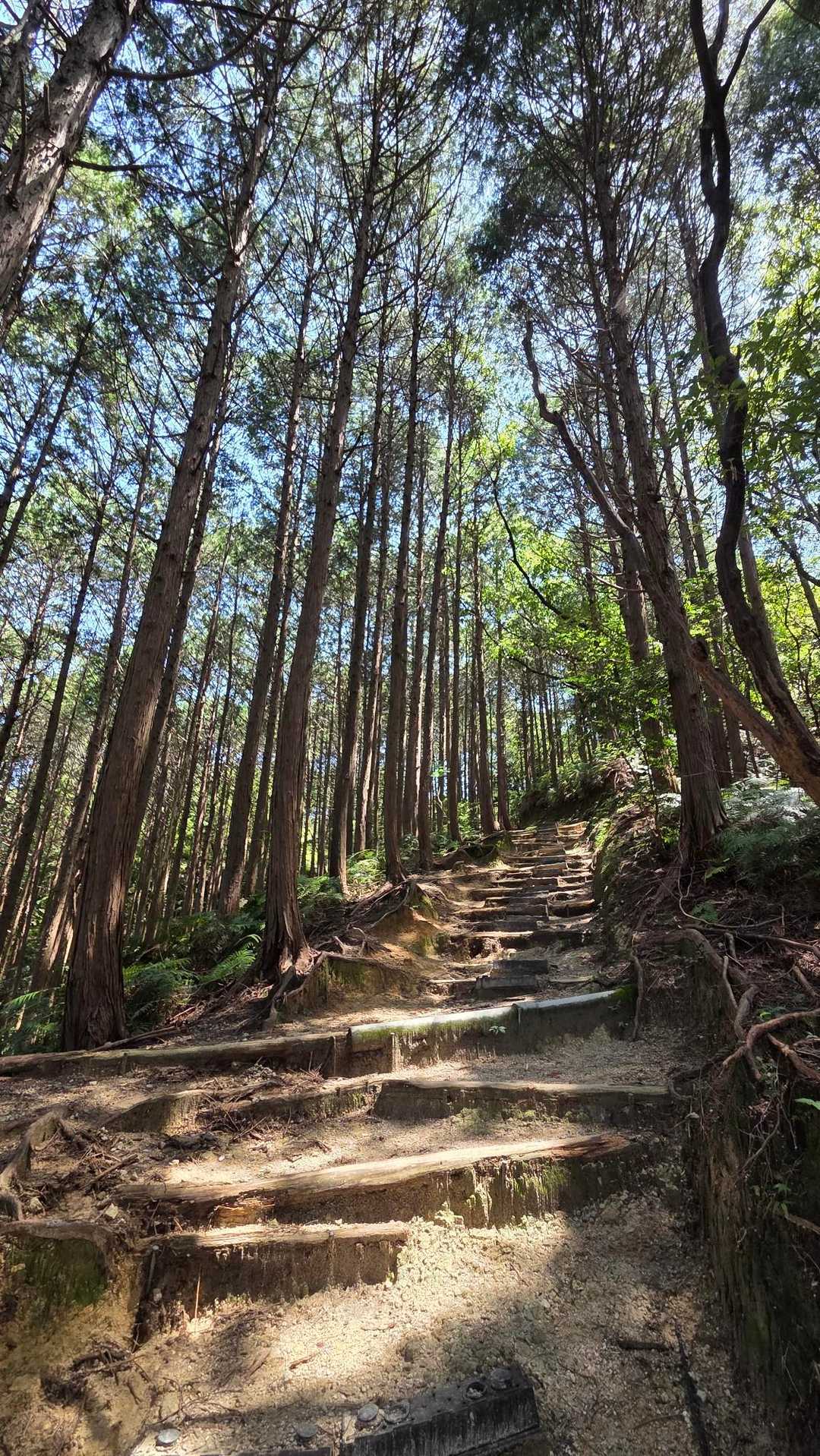 叶岳登山口-叶岳-高地山 周回コースの写真