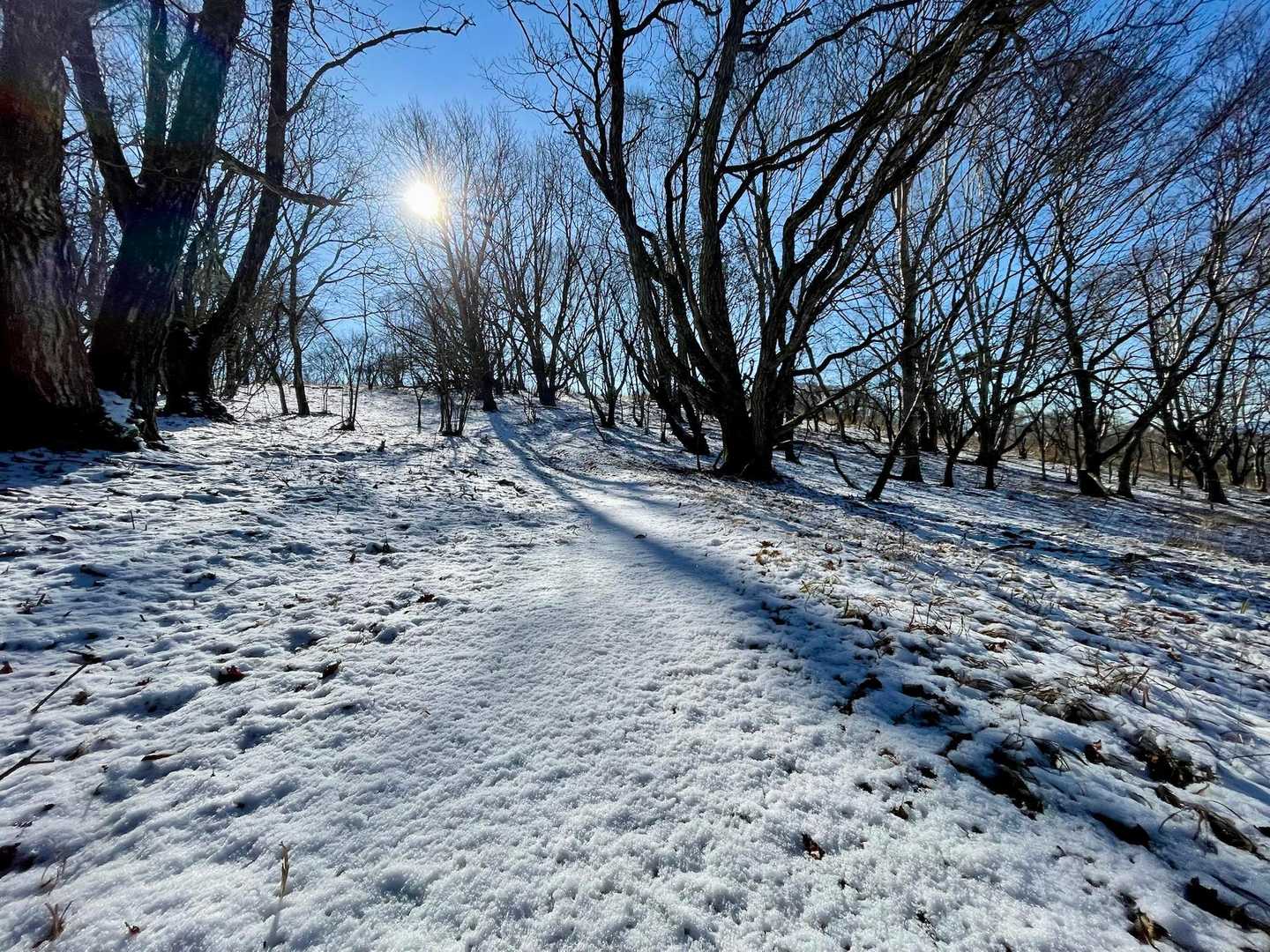湯ノ沢峠登山口-湯の沢峠-白谷小丸-大蔵高丸-ハマイバ丸 周回コースの写真