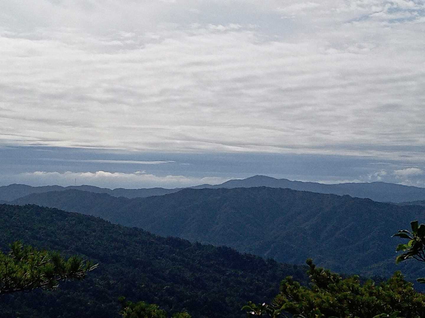 馬頭観音堂登山口-竜王山-天狗岩 往復コースの写真