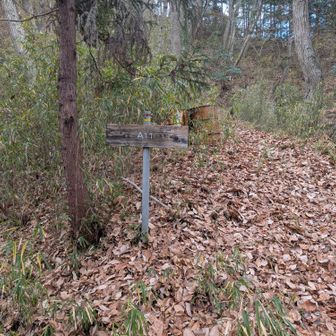 手書きが味ある