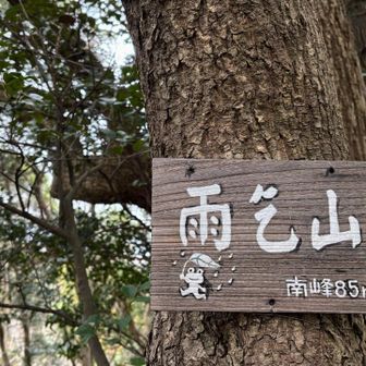 雨乞山南峰⛰️85m🐸