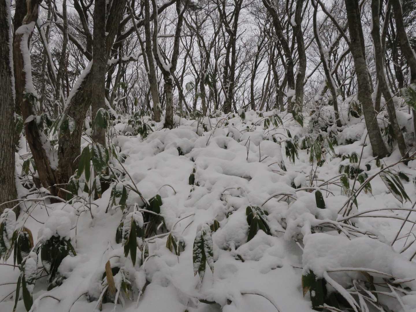 天気は今一。周りの景色はピカ一です。