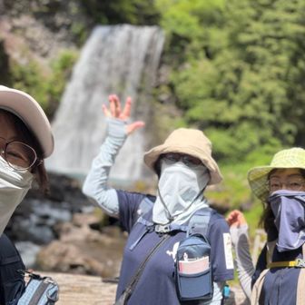 瀧が見えてきた。
「マイナスイオン浴びてます〜」
とご機嫌なわっくん。