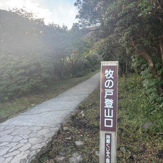 れっつらゴー綾野😆✨