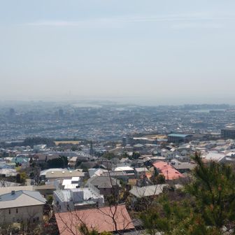 低山ならではの眺望