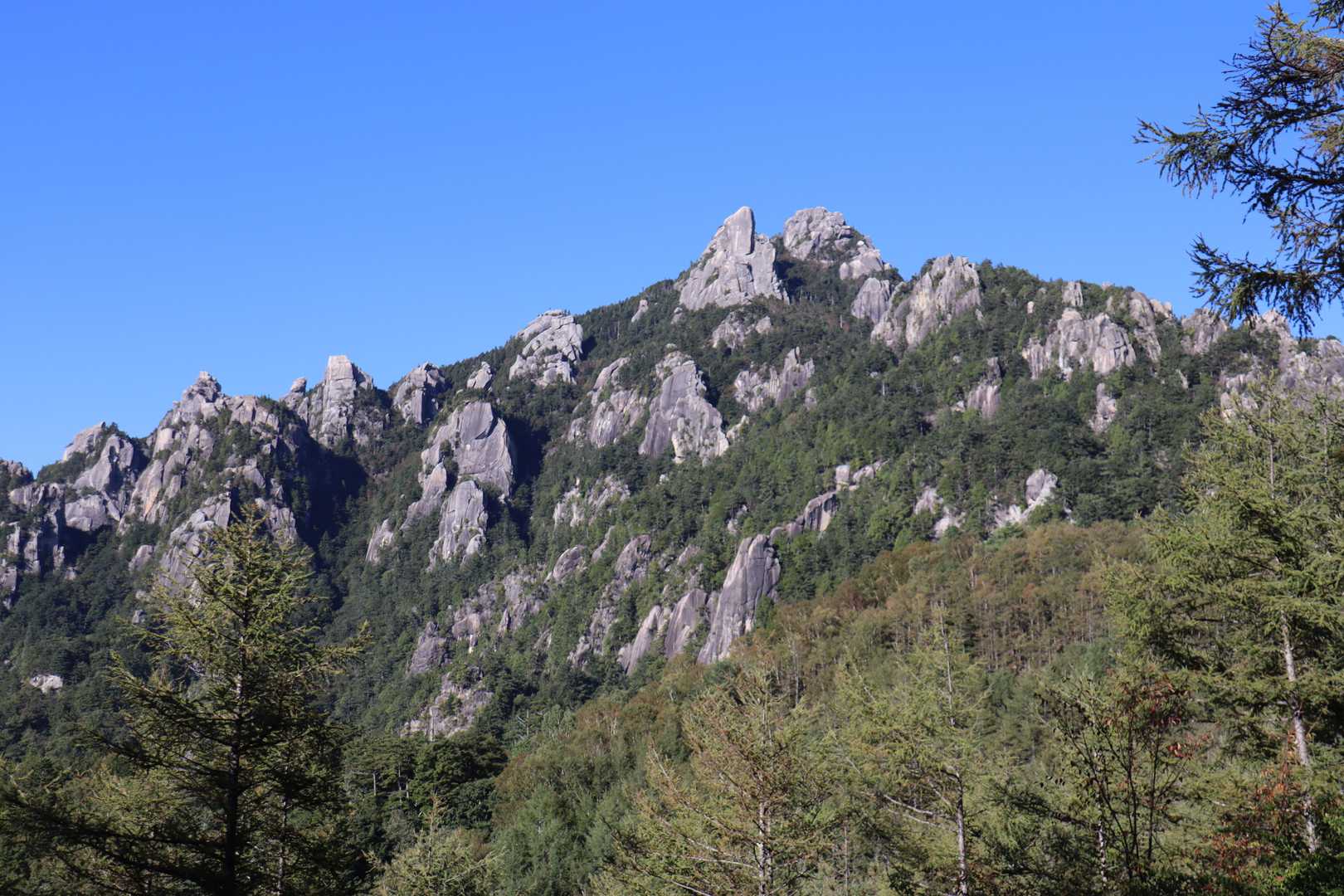 瑞牆山荘コース | 奇岩・巨岩の連続がかき立てる冒険心と、苔むした森が醸す癒しの写真