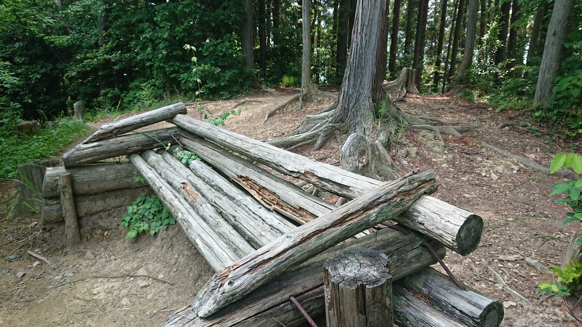 マスガタ山の写真